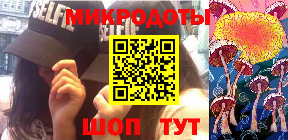 Псилоцибиновые грибы мицелий Нерюнгри