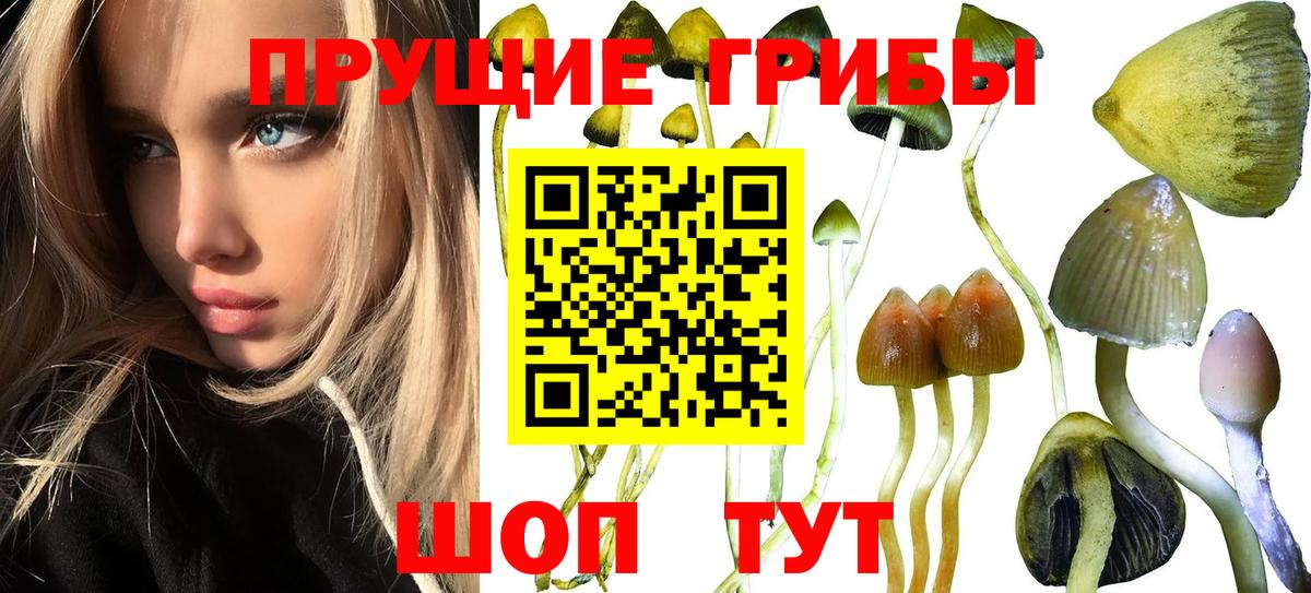 Галлюциногенные грибы MAGIC MUSHROOMS  Вход с VPN  Нерюнгри 