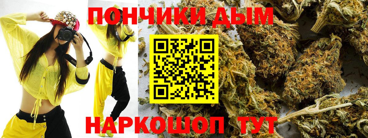 Канабис сатива Нерюнгри
